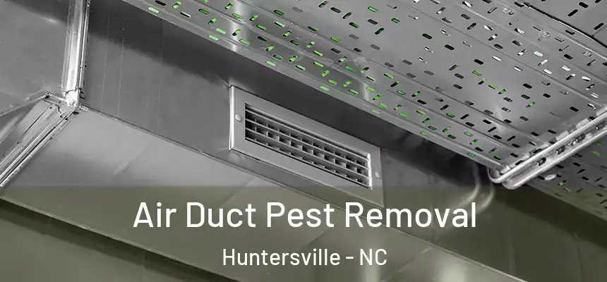Air Duct Pest Removal Huntersville - NC