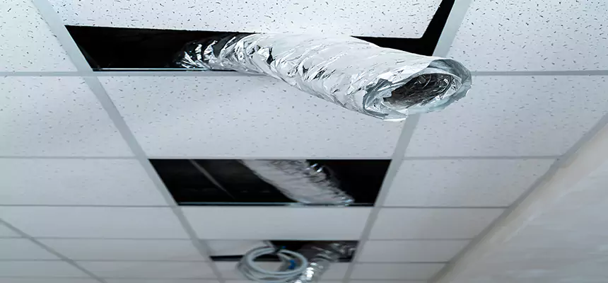 Our Air Duct Pet Hair Removal Services in Huntersville, NC