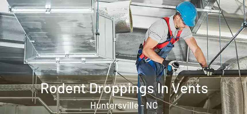 Rodent Droppings In Vents Huntersville - NC
