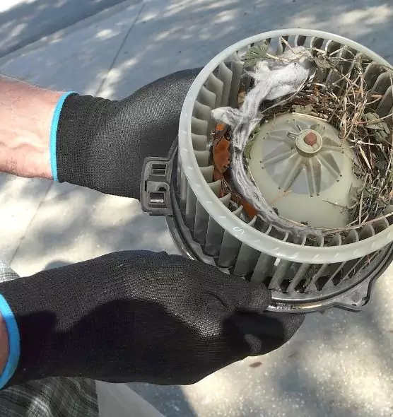 About Air Duct Rat Removal in Huntersville, NC