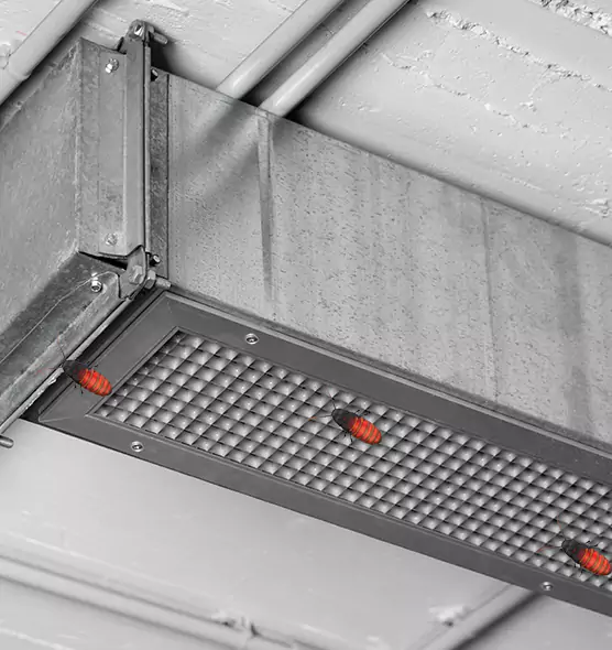 Affordable Insect Removal from Air Ducts in Huntersville, NC