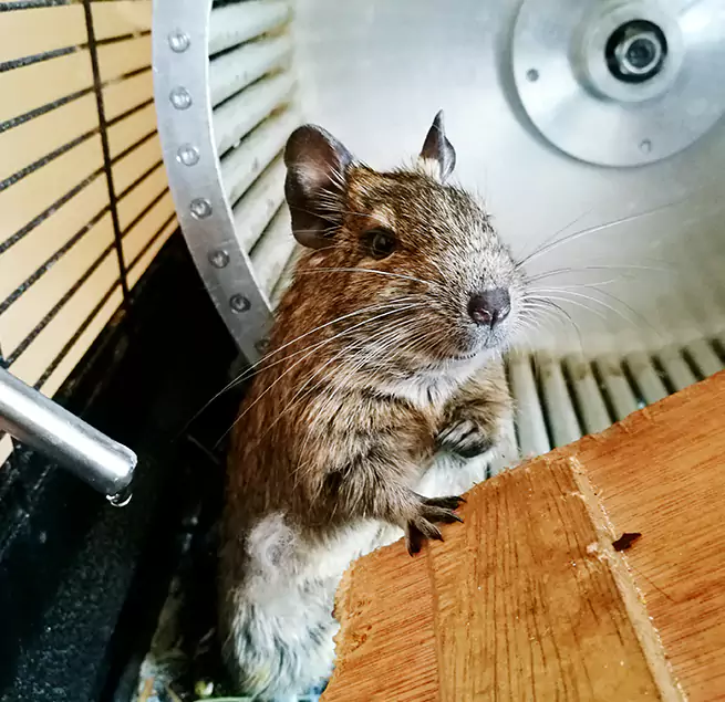 Why Homeowners & Businesses Trust Us Huntersville, NC